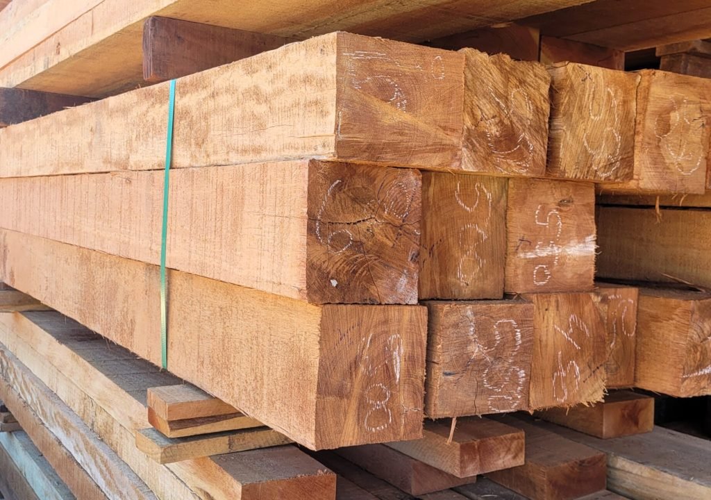 15x15 cambara 081023 1